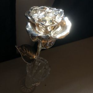 Forever Rose - Dipped Rose